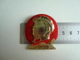 (像章6044)放光芒-韶山9品