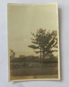 老照片03