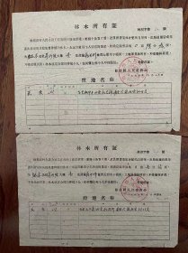 建国初期2张林木所有证