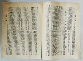 向导周报