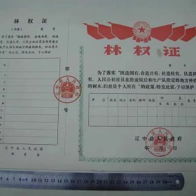 (作废收藏用)空白林权证