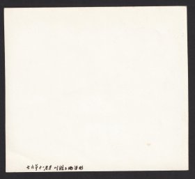 1976年，位于重庆长寿区的中石化川维厂建设老照片，穿着补丁裤子的建设专家及化工厂设备安装过程等等老照片一组12张