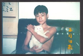 八十九十年代老照片，白色猫咪与男孩儿