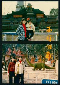 1987年，自贡国际恐龙灯会老照片，2张