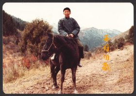 八十年代，马背上的林业专家老照片