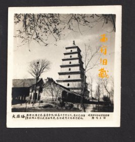 五十年代，郑鸣玉拍摄的西安大雁塔老照片