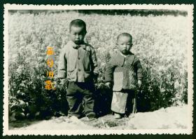 八十年代老照片，油菜花田边的两个小孩子，儿童人像老照片