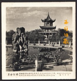 五十年代，郑鸣玉拍摄的西安革命公园老照片