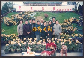 九十年代，成都双流棠湖公园双龙戏珠老照片，坐在儿童汽车里的小女孩儿