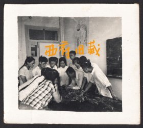 1965年于农业大学，学生们认真听李乾坤先生讲述西瓜枯萎病的老照片