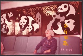 1993年，在一个整面背景都以大熊猫为装饰画的酒店里留念老照片