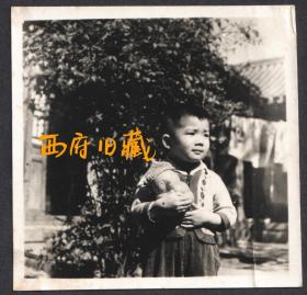 五六十年代，怀抱熊猫玩偶的小男孩