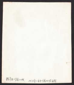 1976年，位于重庆长寿区的中石化川维厂建设老照片，穿着补丁裤子的建设专家及化工厂设备安装过程等等老照片一组12张