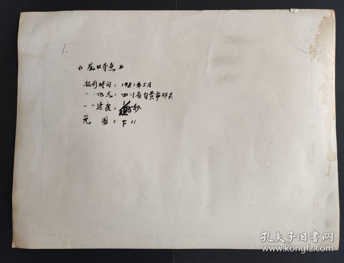 1981年摄影作品《龙口夺鱼》，拍摄于自贡邓关镇，大幅的签名摄影作品原作