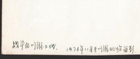 1976年，位于重庆长寿区的中石化川维厂建设老照片，穿着补丁裤子的建设专家及化工厂设备安装过程等等老照片一组12张