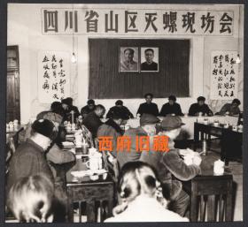 1977年消灭血吸虫，四川省山区灭螺现场会在雅安芦山县开幕式老照片，毛主席华主席画像