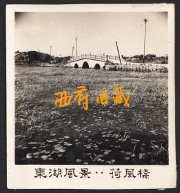 五六十年代，武汉东湖荷风桥老照片