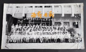 1987年，四川大学中文系八三级毕业合影老照片，大幅老照片，后面背有每个人的姓名