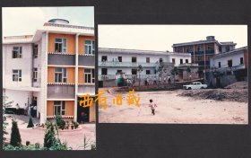 八十九十年代，四川省简阳县柑橘研究所老照片，2张