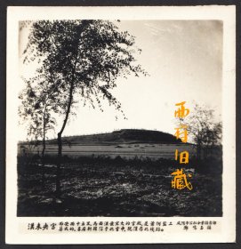 五十年代，郑鸣玉拍摄的西安未央宫遗址老照片