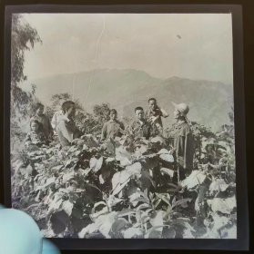 老底片，七八十年代，达州宣汉县农业生产技术交流