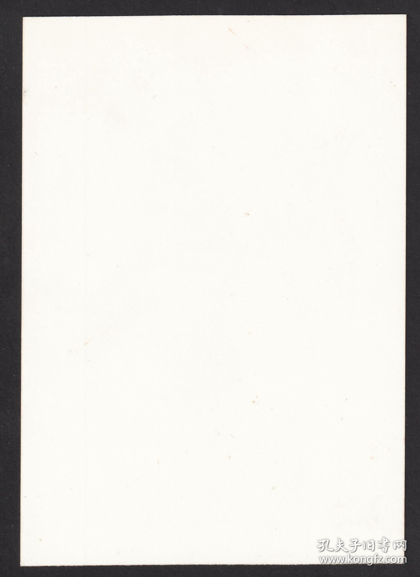 八十年代上海动物园老照片