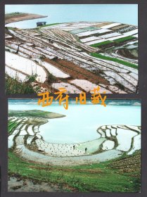 九十年代，广西百色澄碧湖风光老照片，2张，都附有原底片