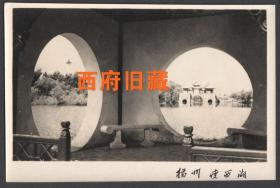 扬州瘦西湖五亭桥,白塔同框老照片