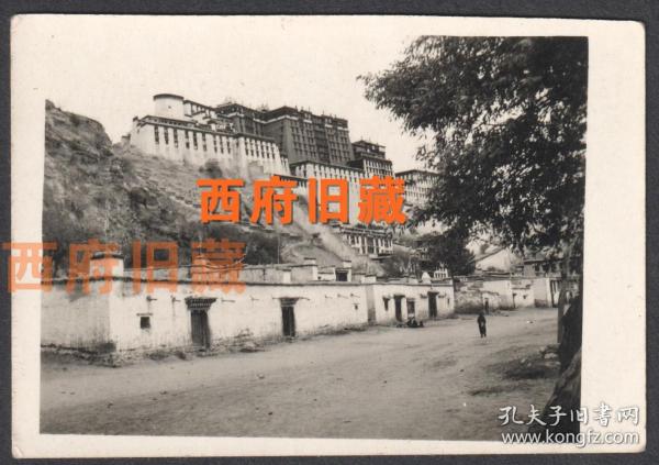 1955年，西藏布达拉宫广场老照片，少见的视角