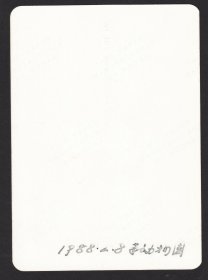 1988年，动物园里的大熊猫老照片