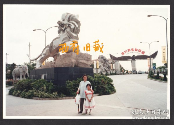 九十年代，深圳野生动物园老照片