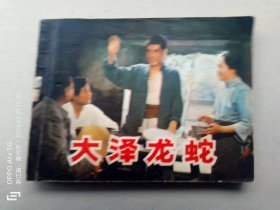 『满50元包邮』连环画小人书(大泽龙蛇）8成新1984年版