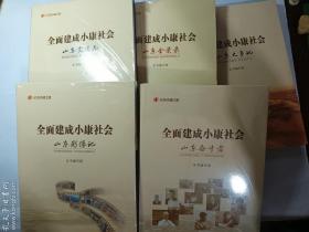 全面建成小康社会系列：山东全景图+山东影像记+山东大事记+山东奋斗者+山东变迁志  全5册合售 全新未开封  有库存