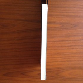 国家阴谋2：英国刺客