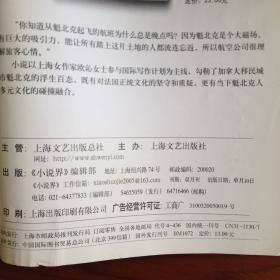 《小说界》（2009年第3期）
