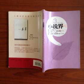 《小说界》（2009年第3期）
