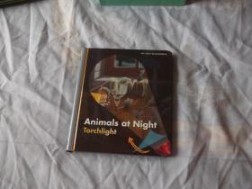 精美的英文原版少儿书：MY FIRST DISCOVERIES: animals at night  torchlight (我的第一个发现丛书：夜晚的动物，手电筒）