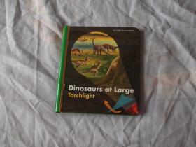 精美的英文原版少儿书：MY FIRST DISCOVERIES: dinosaurs at large torchlight (我的第一个发现丛书：无法无天的恐龙，手电筒）