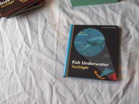 精美的英文原版少儿书：MY FIRST DISCOVERIES: fish underwater torchlight (我的第一个发现丛书：水下捕鱼，手电筒）
