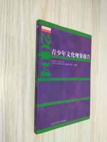 2004青少年文化现象报告