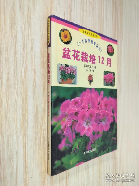 盆花栽培12月：一年四季观赏花卉