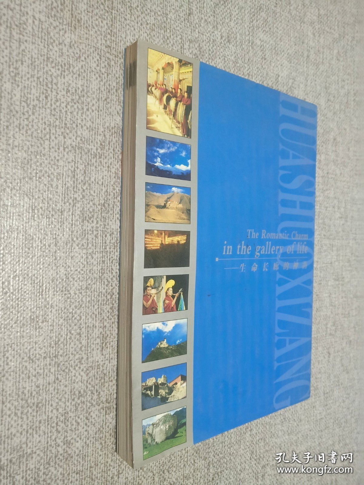 画说西藏.生命长廊的神韵.