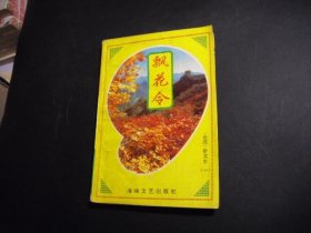 飘花令 一