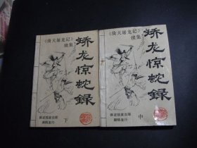 矫龙惊蛇录 中下