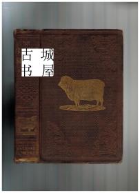 稀缺， 《  牧羊人：关于绵羊繁殖、管理和疾病  》大量插图， 约1864年出版