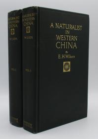 稀缺《一个博物学家在中国西部 》2卷全，100黑白插图 ， 1913年出版 。