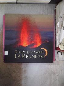 UN JOYAU NOMME LA REUNION 一颗宝石命名会议【8】