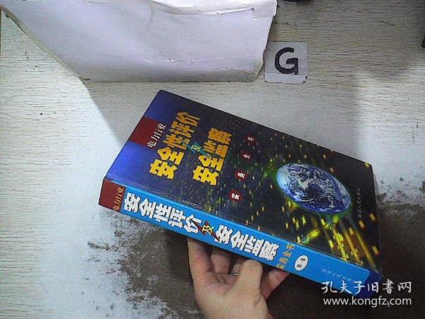 电力行业安全性评价及安全监察实务全书  第一卷