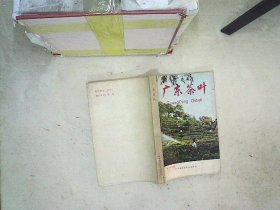 广东茶叶