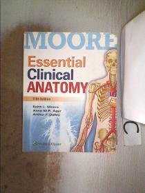 Essential Clinical Anatomy Fifth Edition 基本临床解剖学第五版【023】